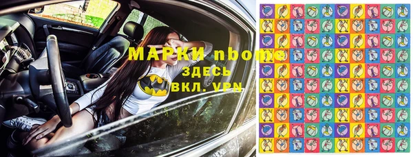 стафф Майский
