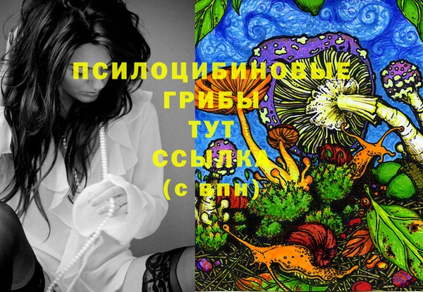 гашиш Магас