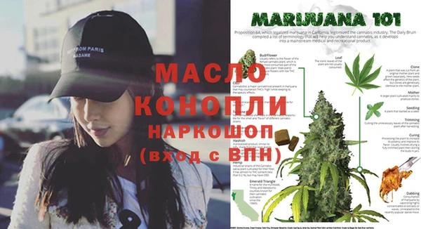 соль ск Мурманск