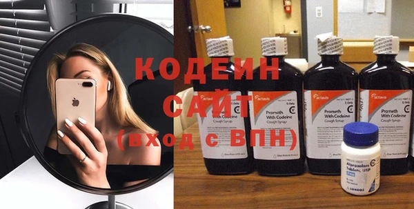 стафф Майский