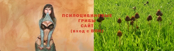 твердый Магадан
